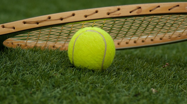 tennis-ball-1162631_640