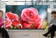 LG Electronics investira na  streaming TV